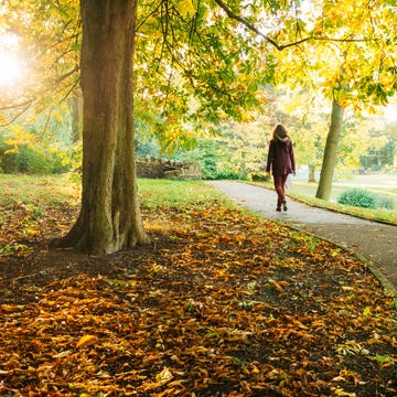 7 Health Benefits of Walking 7 health benefits of walking including better metabolism better mental health and better weight management