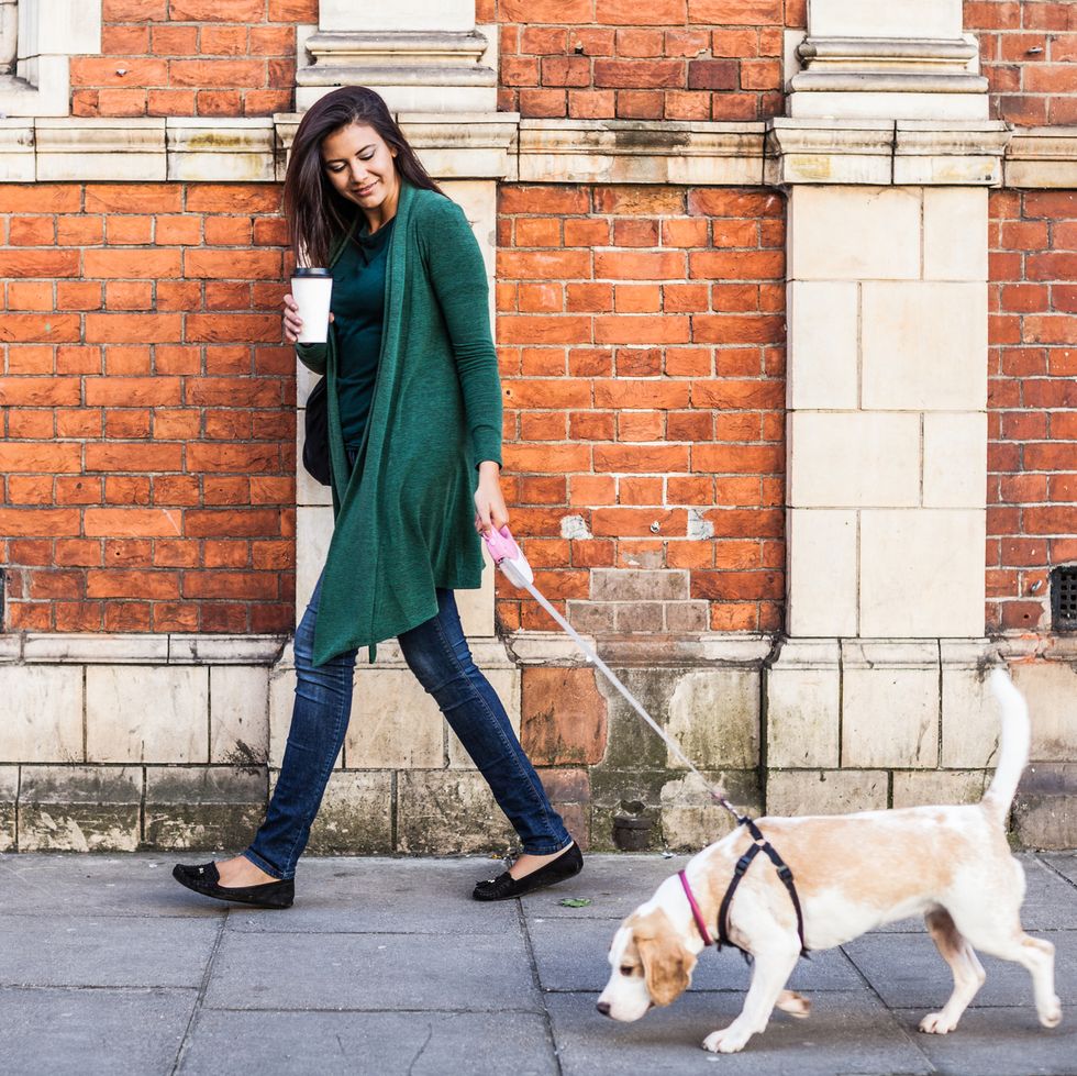 woman walking with dog in early sunday morning in london