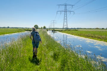 vrouw wandelt in weiland