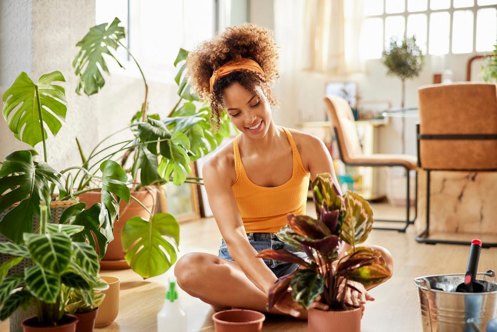 woman with curly hair planting in living room