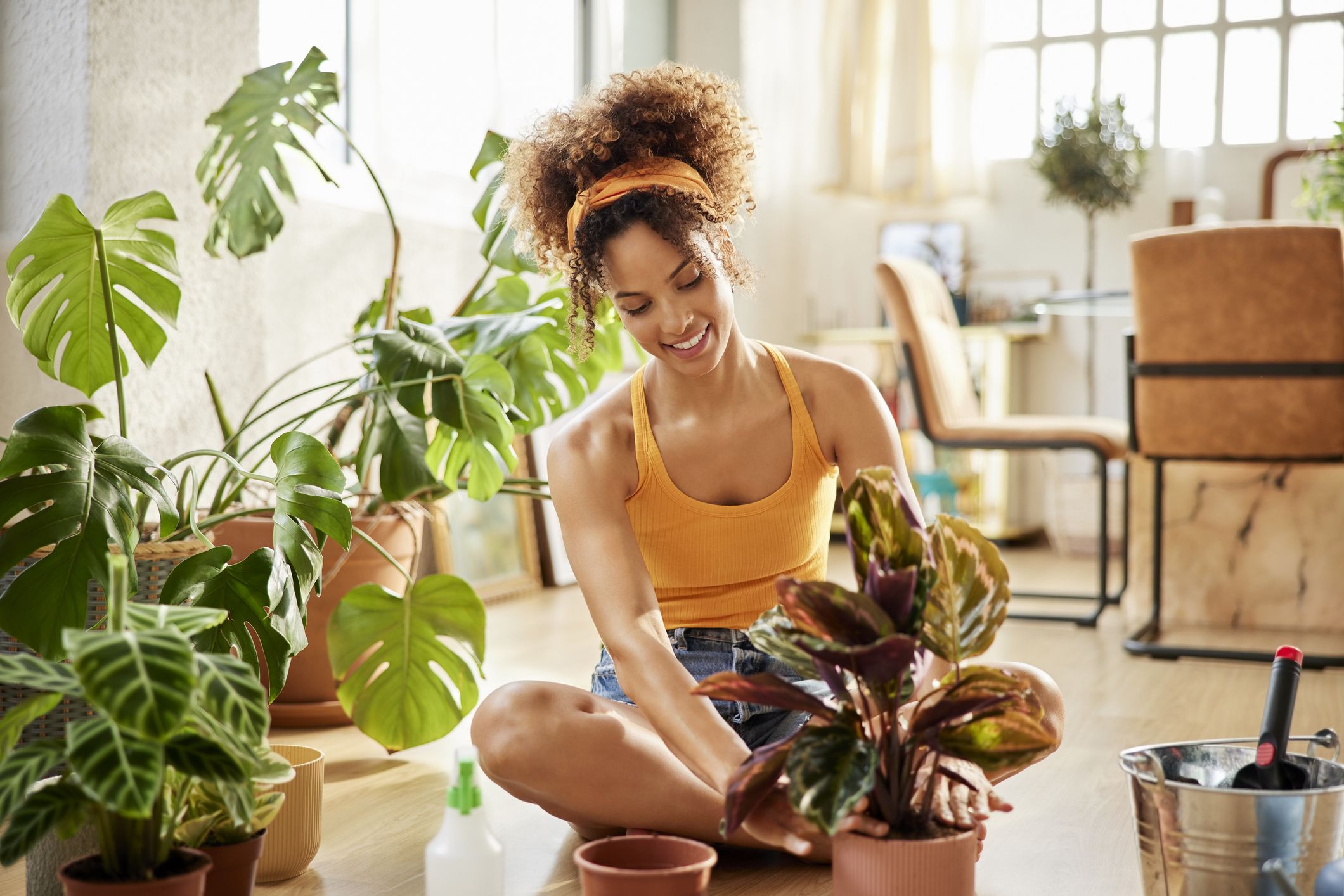 5 Reasons Why Not To Buy Plants From Home Depot » Simplify Plants