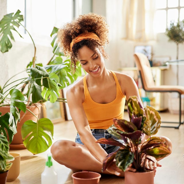 Woman With Curly Hair Planting In Living Room woman with curly hair planting in living room