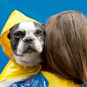 woman holding a dog who is in a rainjacket, shown against a blue wall