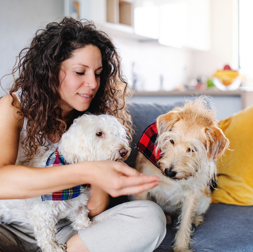 woman with two pet dogs sitting indoors at home, relaxing.