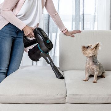 woman with vacuum cleaner cleaning couch with dog