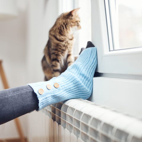 woman's feet with woolen socks, domestic cat, enjoying inside home on the radiator