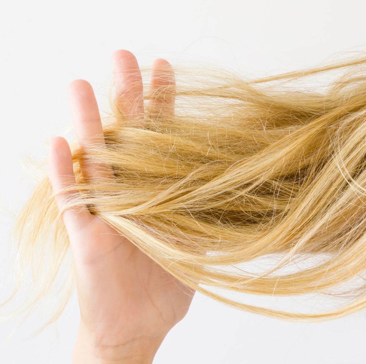 Does Masturbation Cause Hair Loss? Popular Myths, Debunked