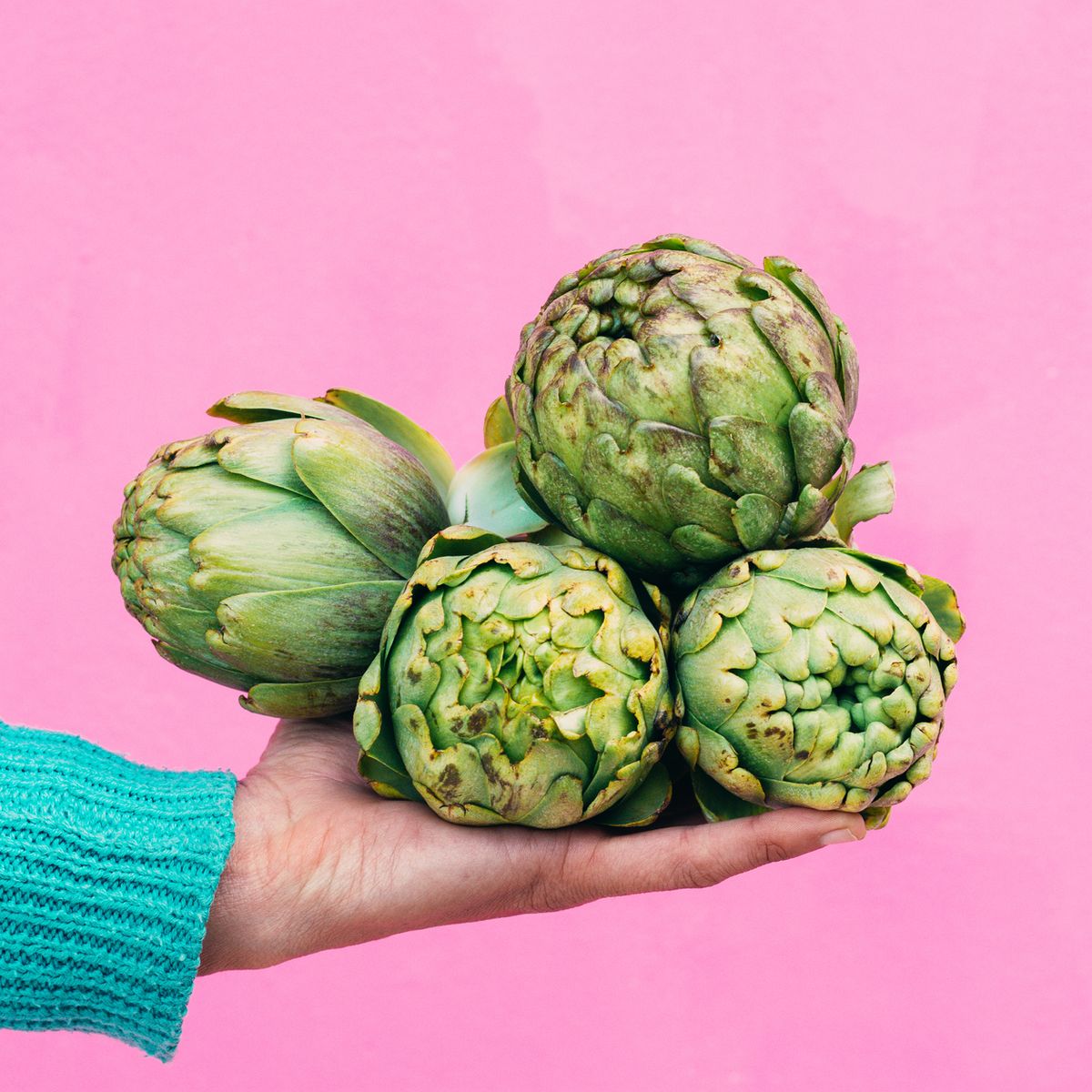 hand holding four artichokes on a pink background