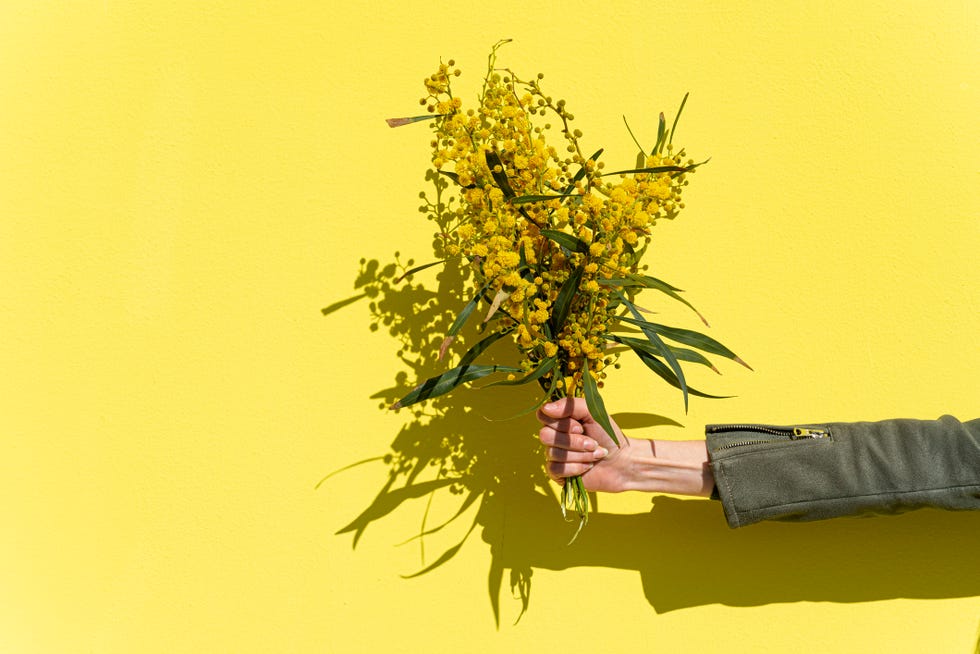 woman's hand holding mimosas bouquet