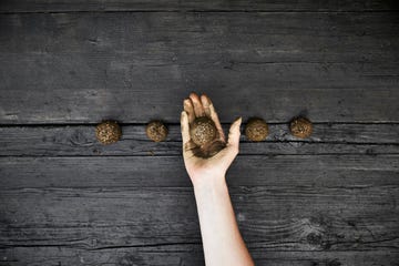 woman's hand holding seed bomb