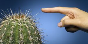 woman's hand pointing at cactus