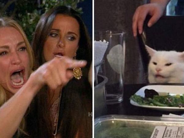 What Is The Cat Meme? The 'Woman Yells At Cat' Meme, Explained