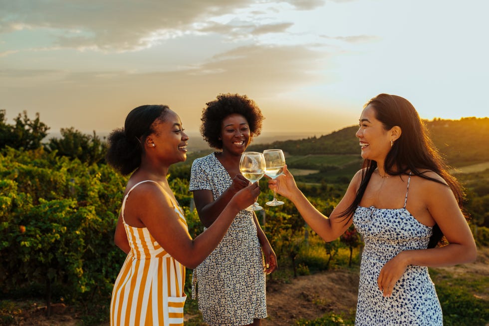 three female friends toasting wine in a vineyard