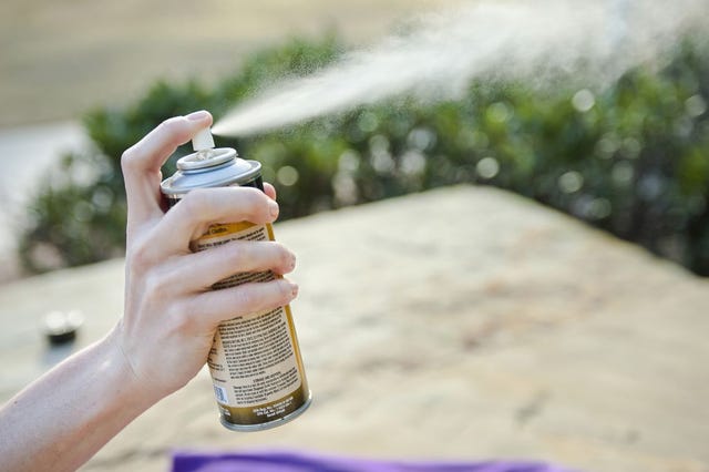 9 best insect repellents, according to experts