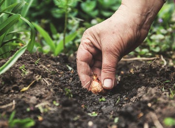 Se sogni un mondo green prova l'orto urbano di Ikea e Space 10 Content