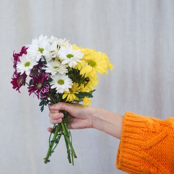 women's hands hold a bouquet of spring flowers chrysanthemums in white, yellow and red