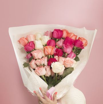 women's holding a big bouquet of roses on pink background