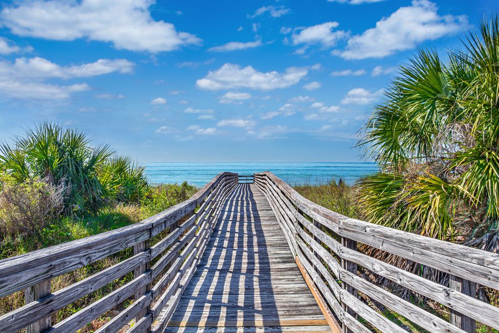 wooden boardwalk to the beach surrounded by palm trees in florida honeymoon island