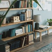 bookshelf filled with plants and books in a home office