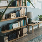 bookshelf filled with plants and books in a home office bookshelf filled with plants and books in a home office