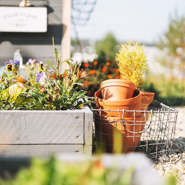 wooden box with flowers, details of garden decor in the backyard of house