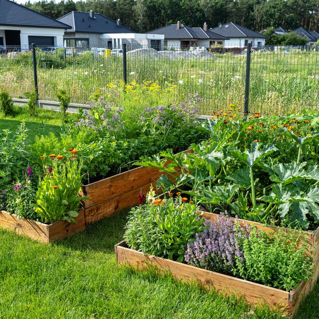 sustainable gardening