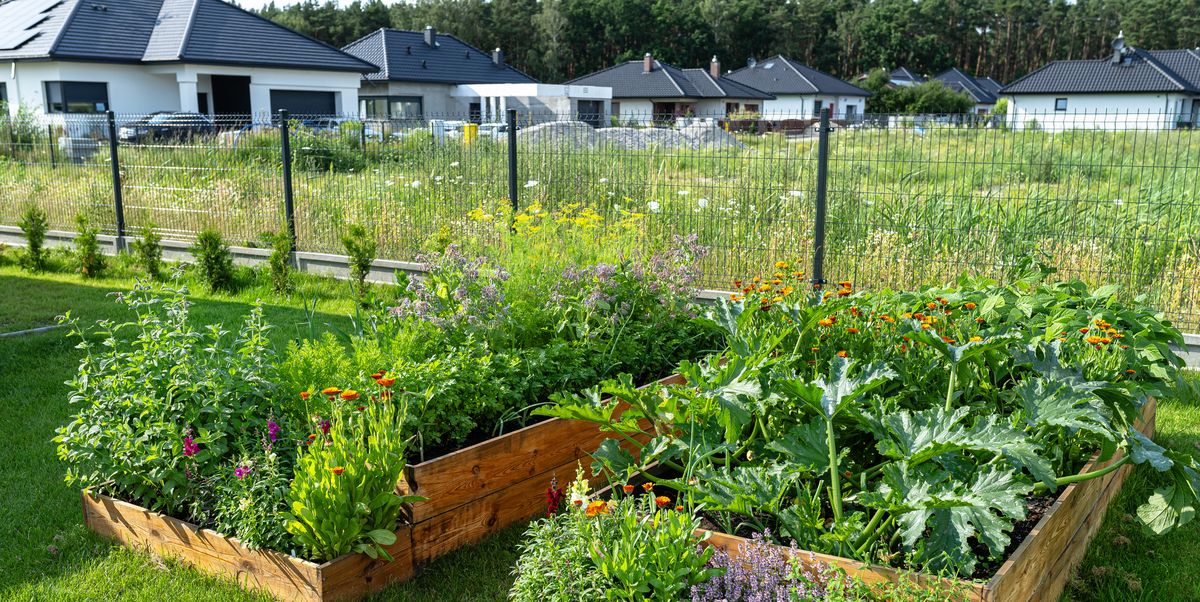 The Sustainable Gardening Trend Is Growing — Here's How to Start One