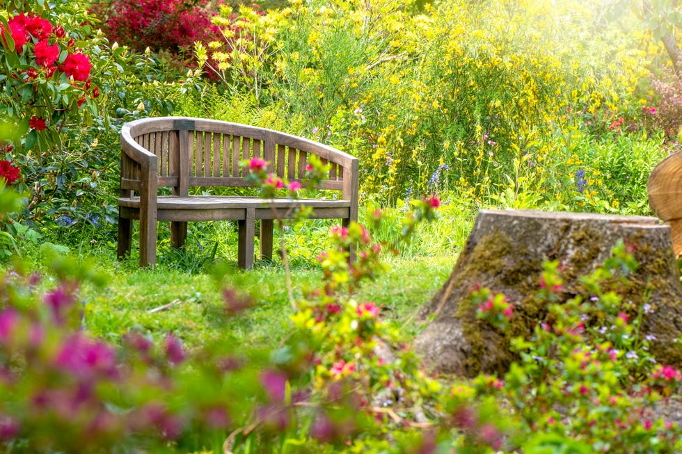 a wooden garden bench in a tranquil spring english garden with hazy sunshine