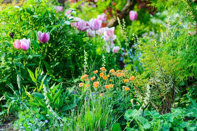 5 Garden Trends For 2025, According To Chelsea Designers