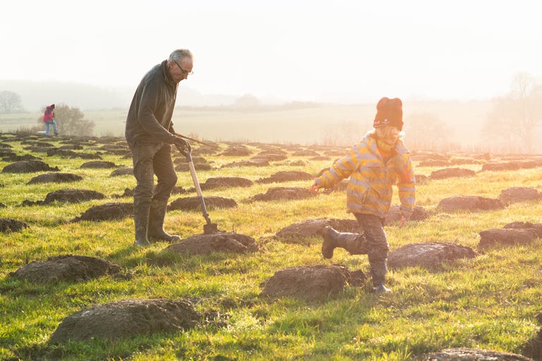 The Woodland Trust﻿ Plans To Plant 50 Million Trees By 2025