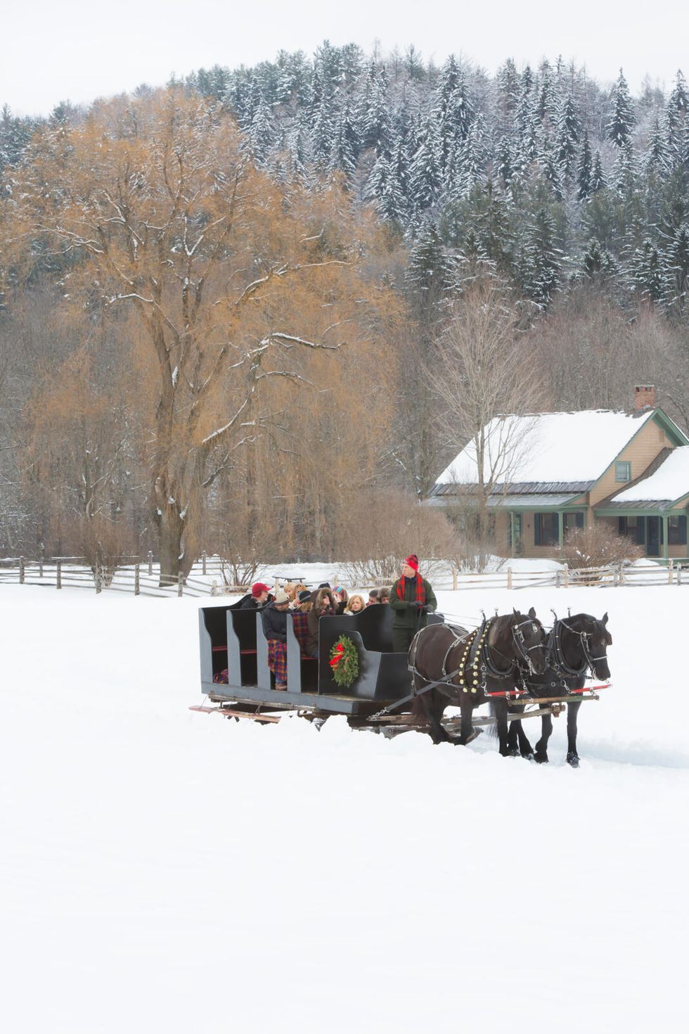 sleigh ride at billings farm and museum in woodstock, vermont