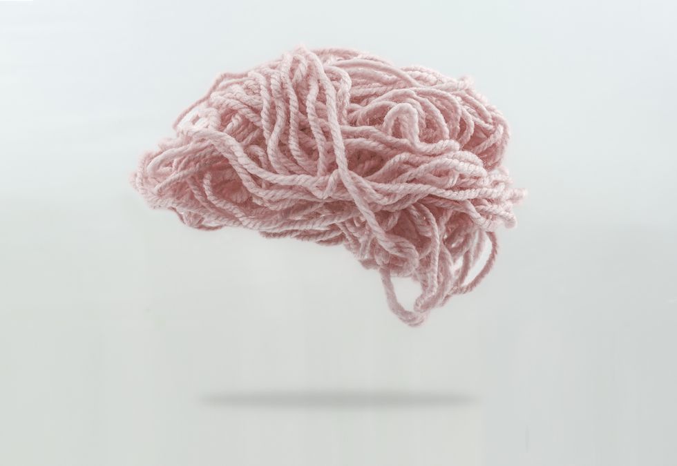wool brain