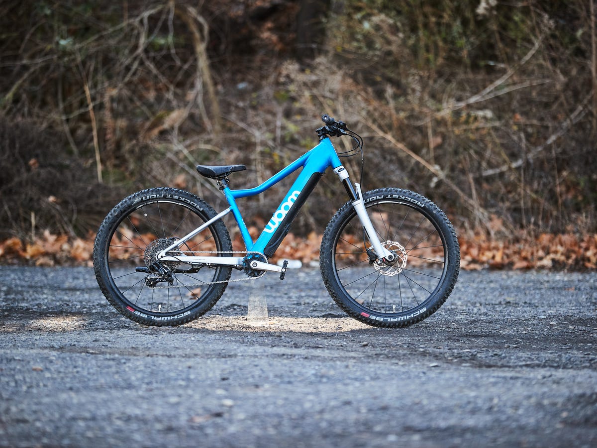 The 11 Best Beginner Bikes in 2024