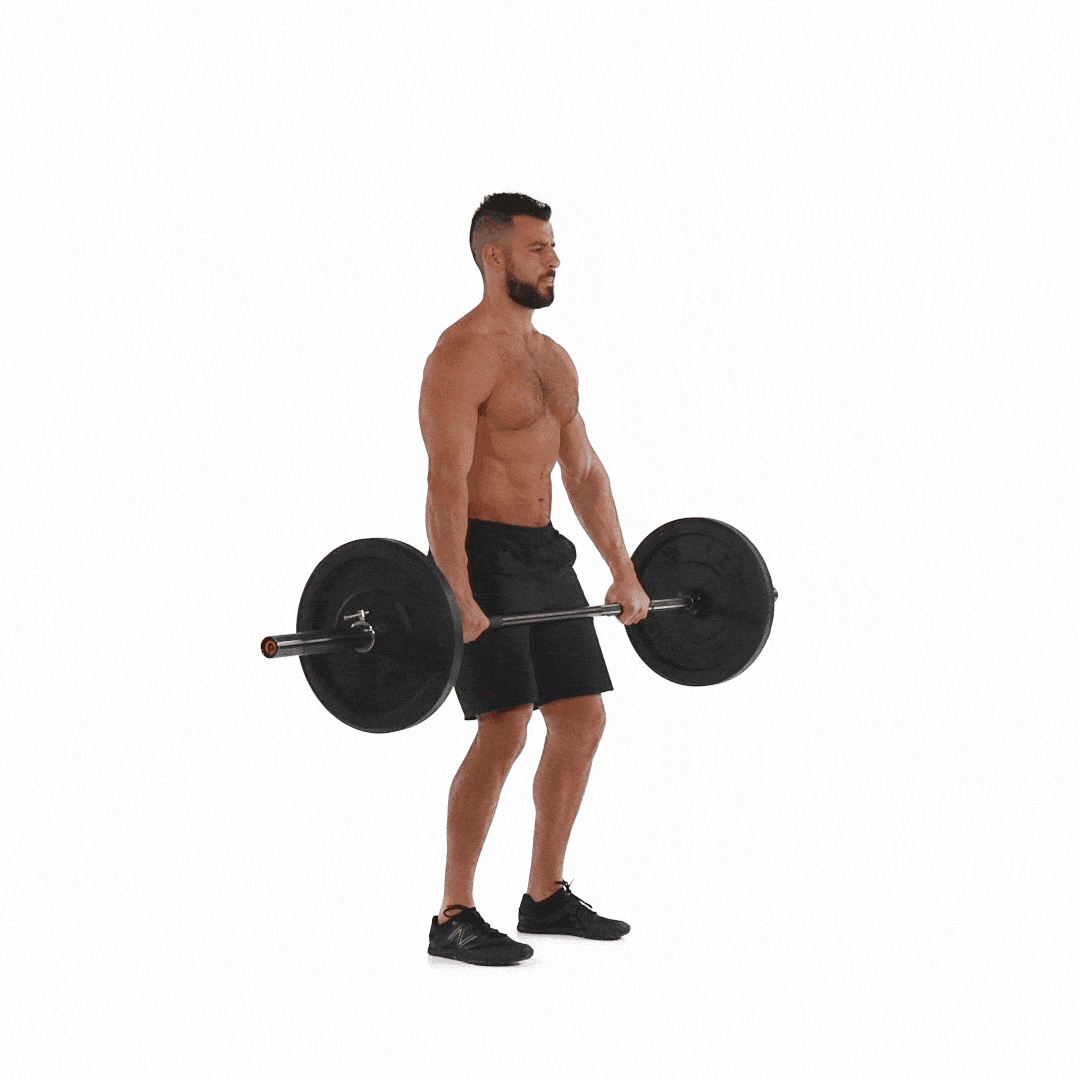 barbell high pull
