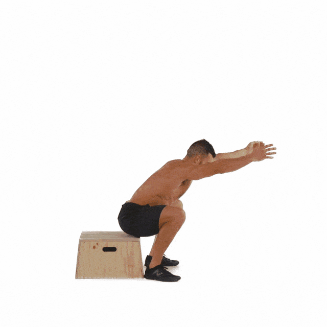 bodyweight box squat