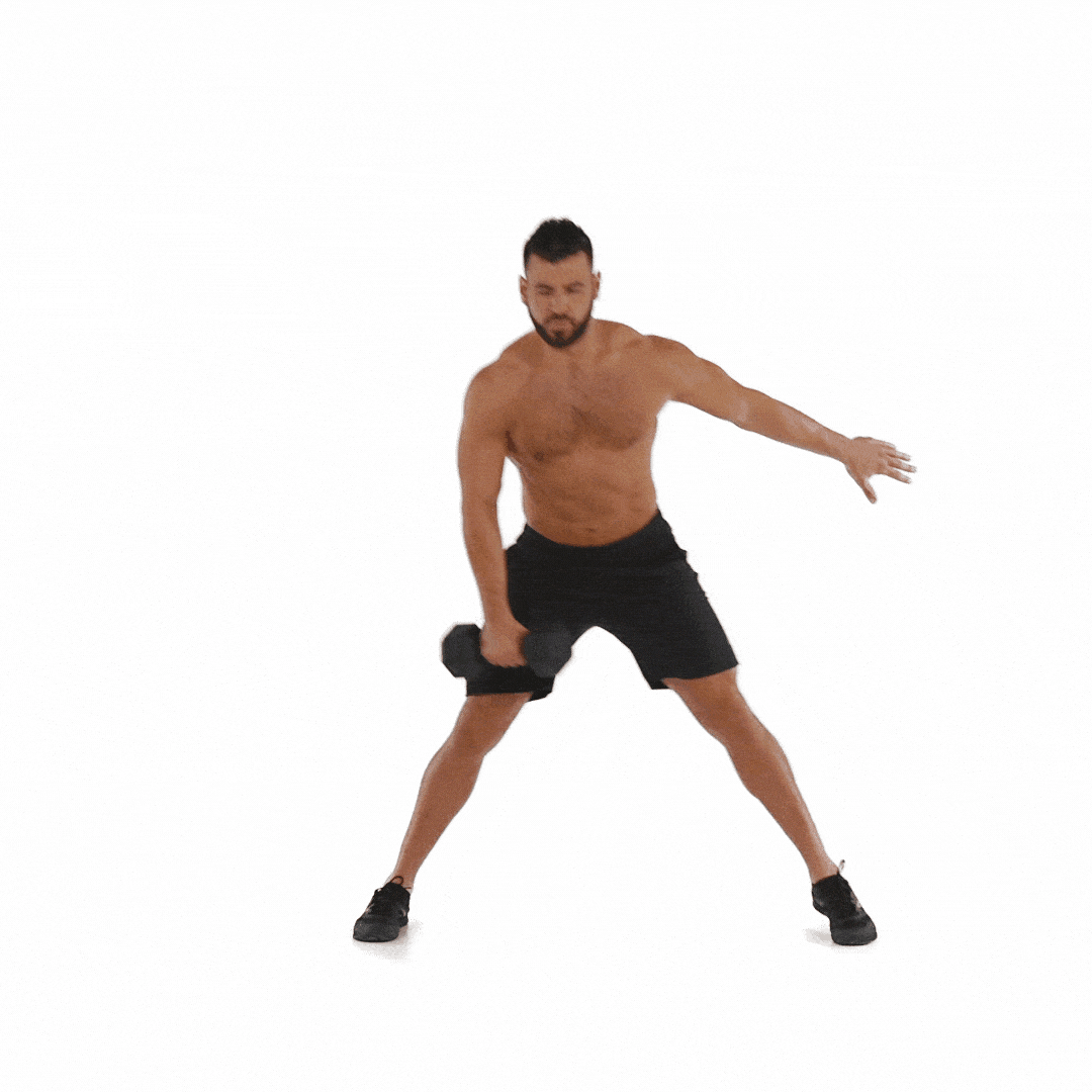 dumbbell side lunge and touch