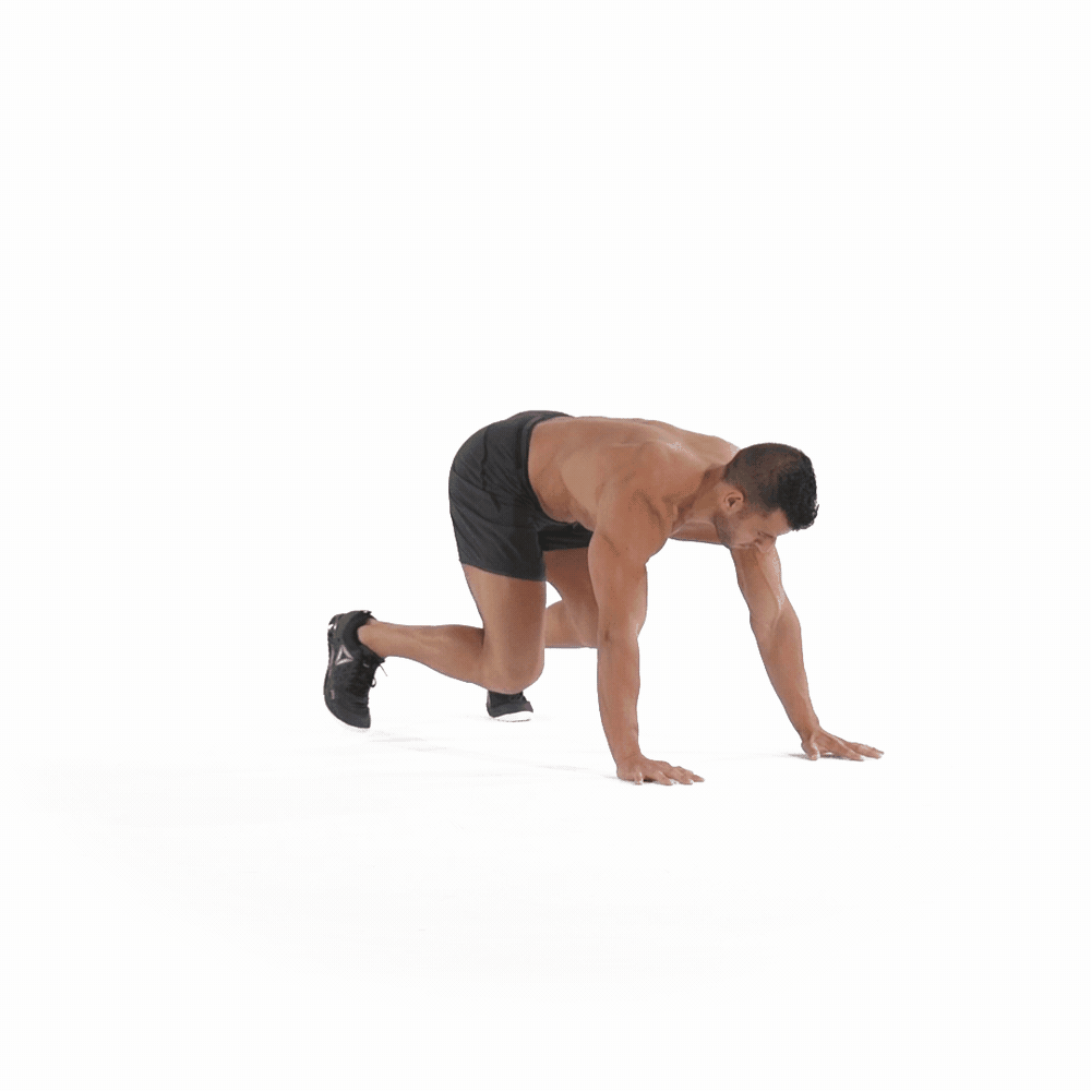 Back Extension - Bear Crawl Fitness