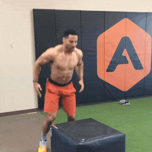 How to Do the Box Jump  Plyometric workout, Lower body muscles, Box jumps
