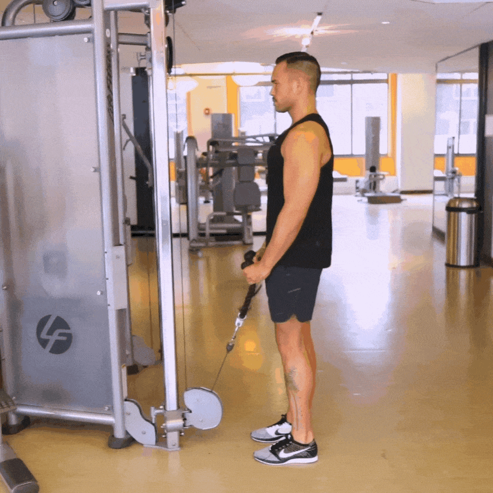 Bottom To Half Cable Biceps Curl