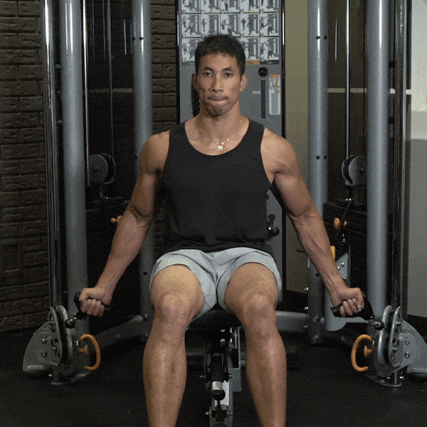 Seated cable curl