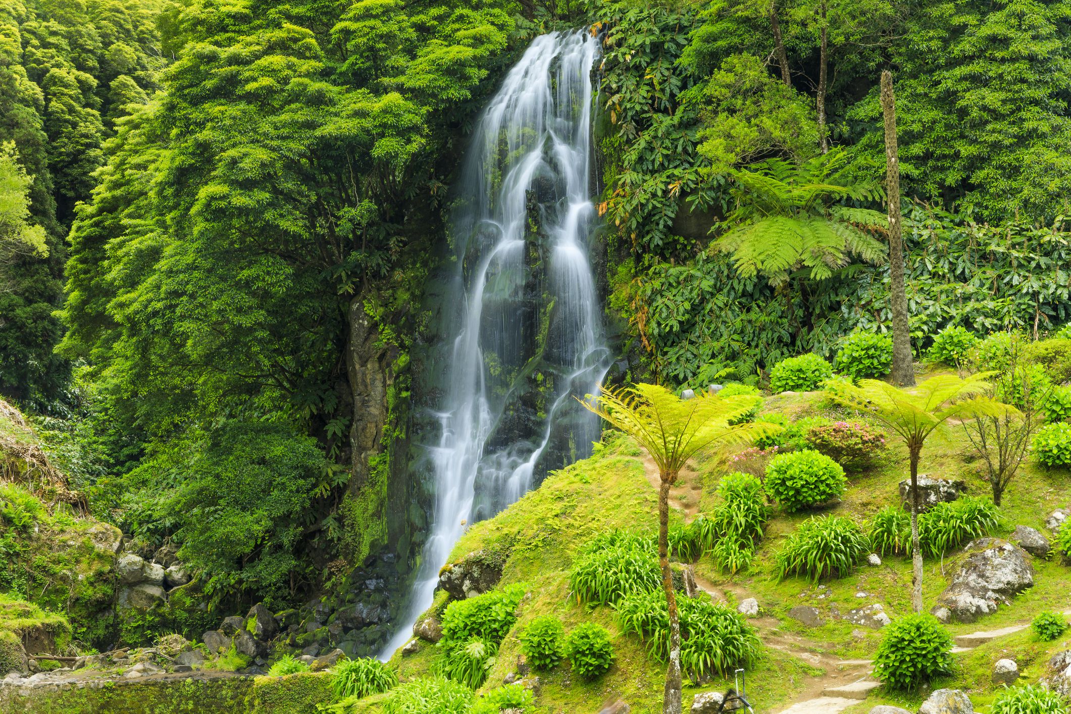 The Wild Nature, Waterfalls and Wonderful Sights of Slovenia's Green Karst