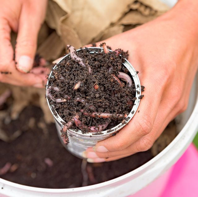 A Complete Guide to How to Compost at Home - Countryside