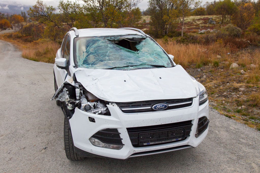 Los jabalíes provocan diez accidentes al día en carreteras gallegas