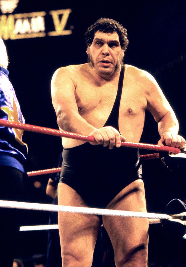 wrestler-andre-rene-roussimoff-best-known-as-andre-the-news-photo-1613322654.