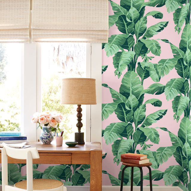 Green, Houseplant, Leaf, Furniture, Table, Room, Interior design, Plant, Flowerpot, Chair, 