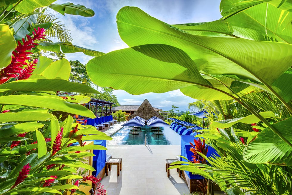 Vegetation, Nature, Green, Majorelle blue, Blue, Leaf, Botany, Biome, Plant, Architecture, 