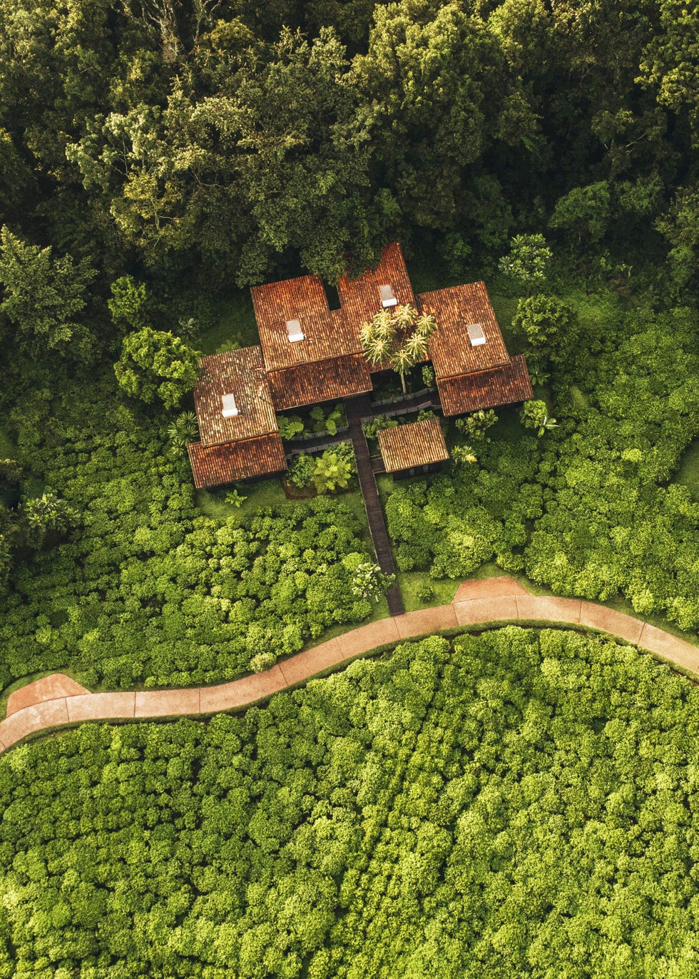 Vegetation, Land lot, Tree, Grass, Plant, Aerial photography, Jungle, Forest, Landscape, House, 