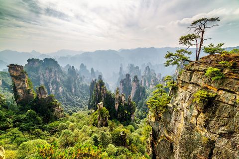 Deze spectaculaire streek in de Chinese provincie Hunan wordt gekenmerkt door ruim drieduizend scherpe zandsteenpilaren en pieken die hoog boven beken en watervallen uittorenen en door circa veertig grotten en twee grote natuurlijke steenbruggen