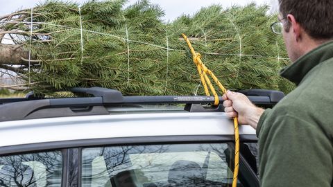 preview for How To Tie a Christmas Tree To Your Car
