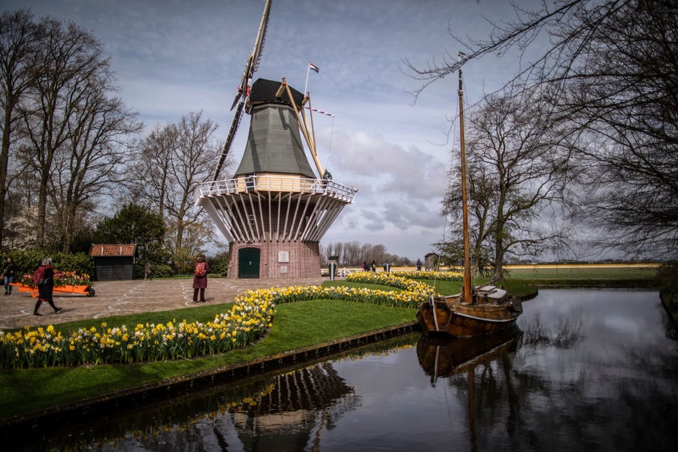 Bezoekers wandelen door de Keukenhof in Lisse waar toeristen sinds enige tijd weer op afspraak worden toegelaten